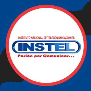 Instel
